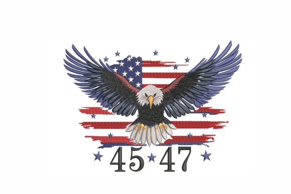 Patriotic Eagle Embroidery Review