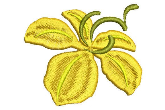 Yellow Ratchaphruek Flower Review